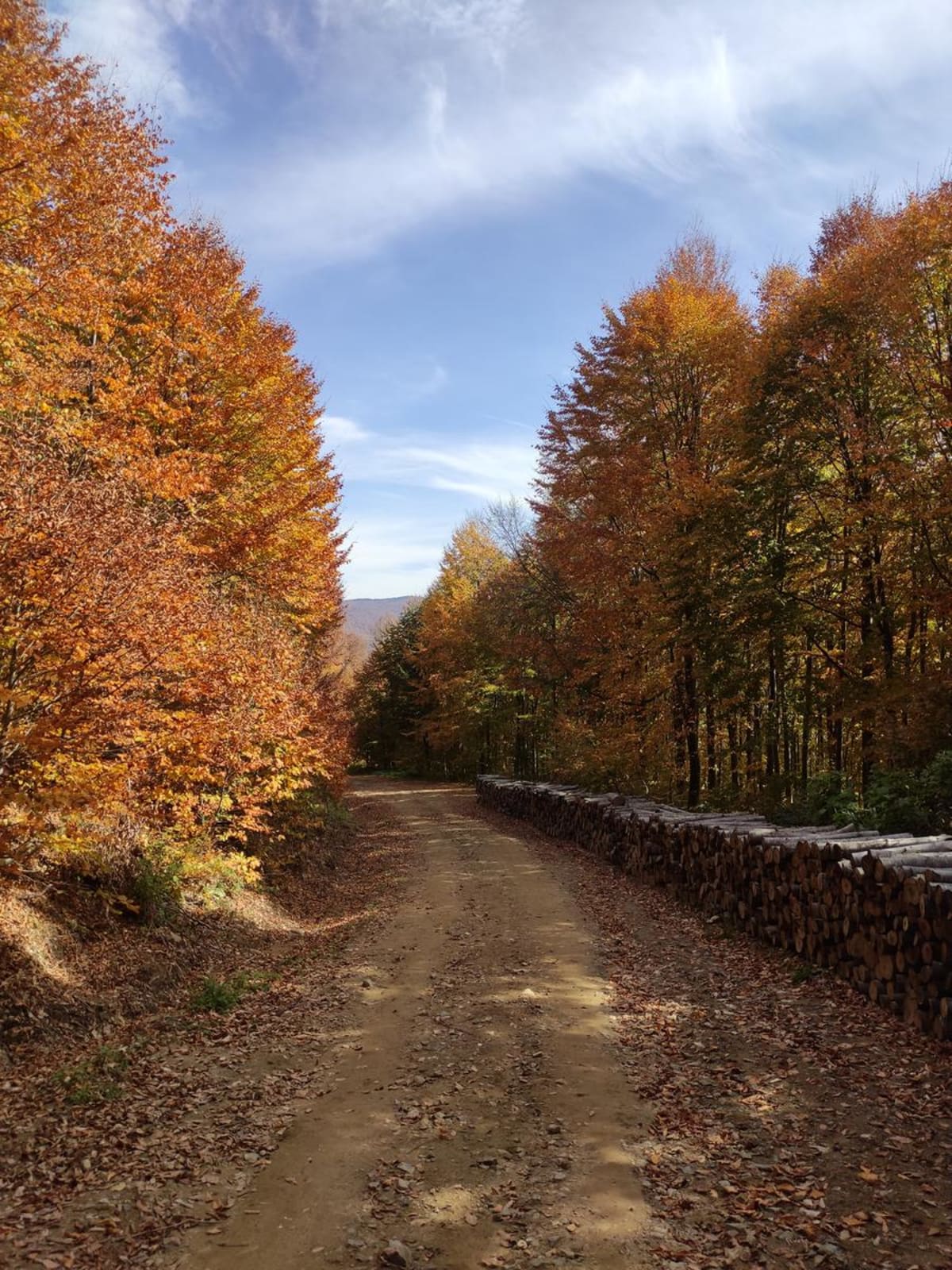 Eskişehir Çıkışlı Bilecik Trekking Rotası — Odunpazarı, Eskişehir (görsel 2)