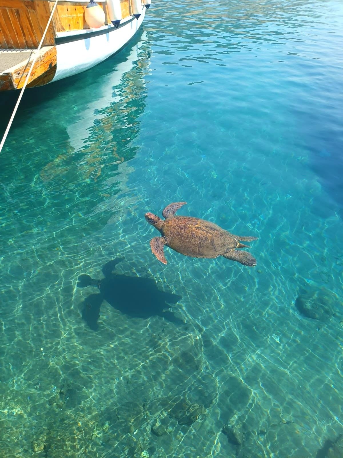 Demre Çıkışlı Yemekli Kekova Tekne Turu — Demre, Antalya (görsel 3)