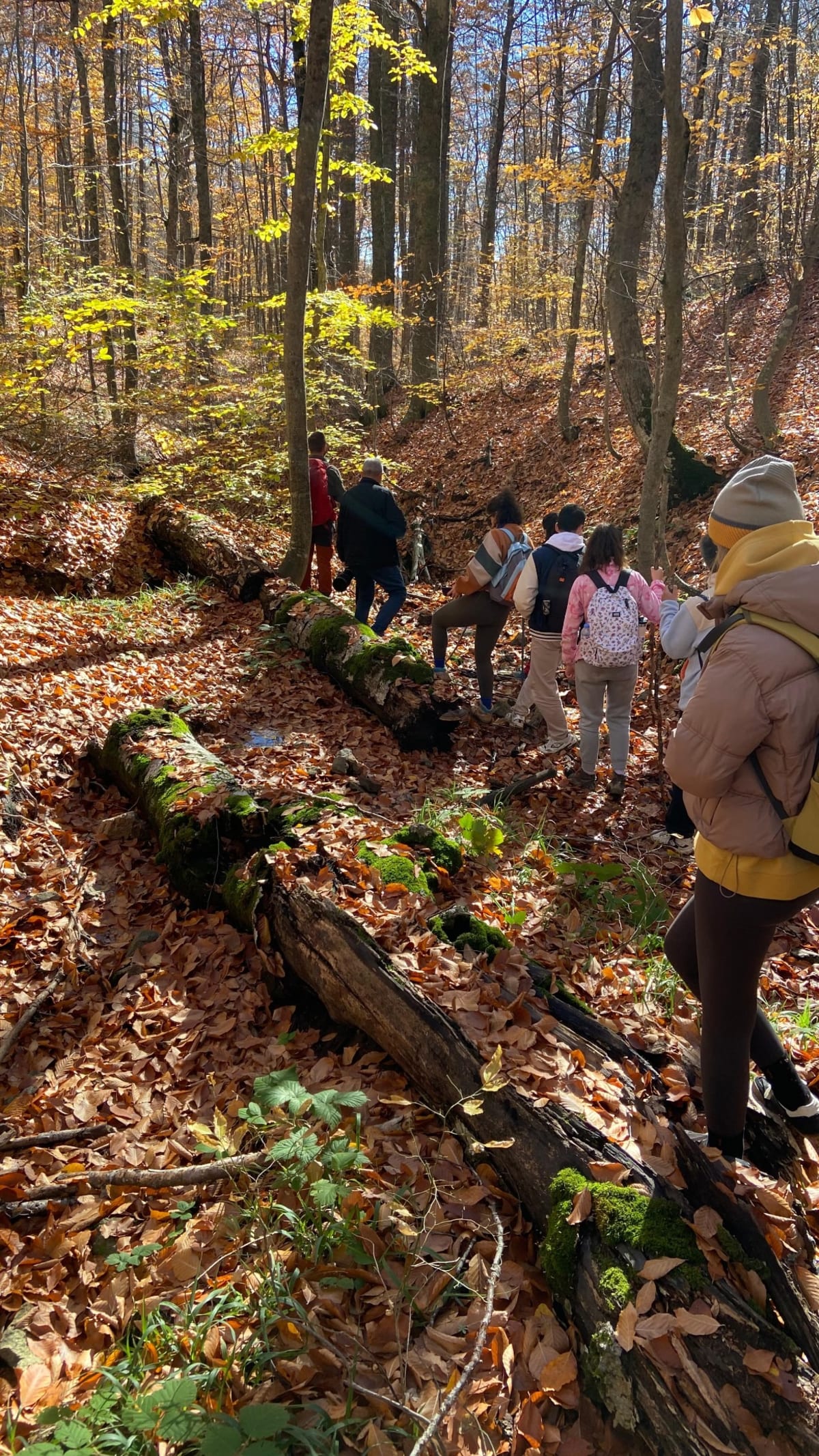 Eskişehir Çıkışlı Bilecik Trekking Rotası — Odunpazarı, Eskişehir