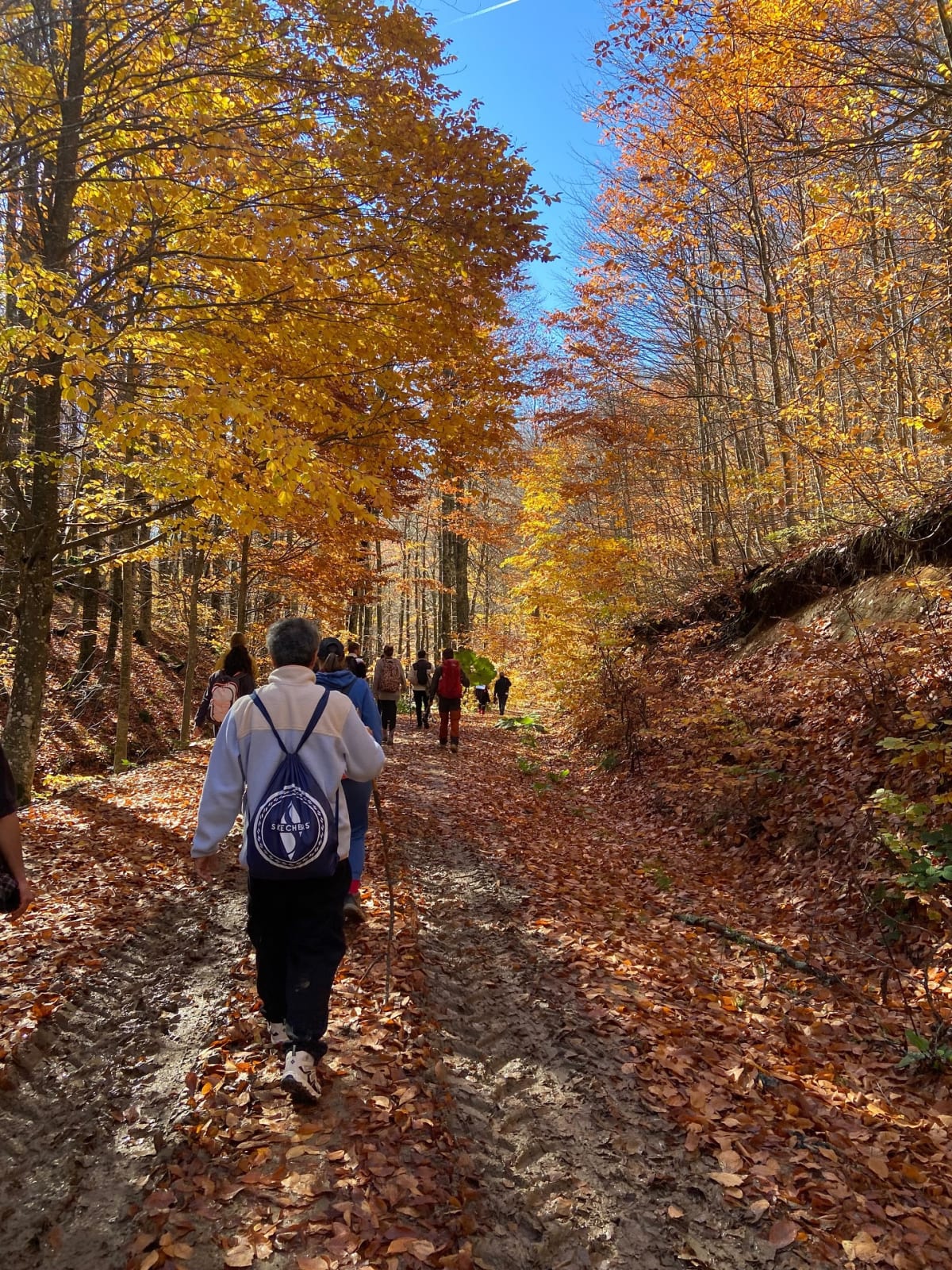Eskişehir Çıkışlı Topuk Yaylası Trekking — Odunpazarı, Eskişehir (görsel 3)