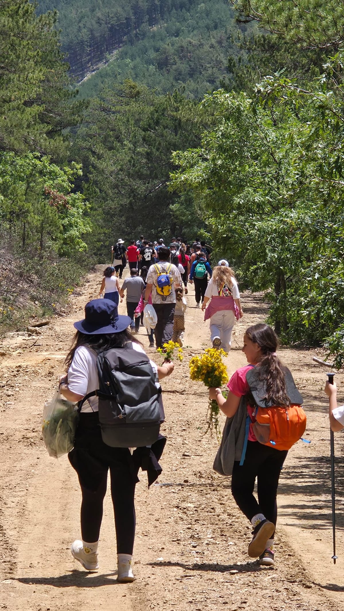 Eskişehir Çıkışlı Topuk Yaylası Trekking — Odunpazarı, Eskişehir