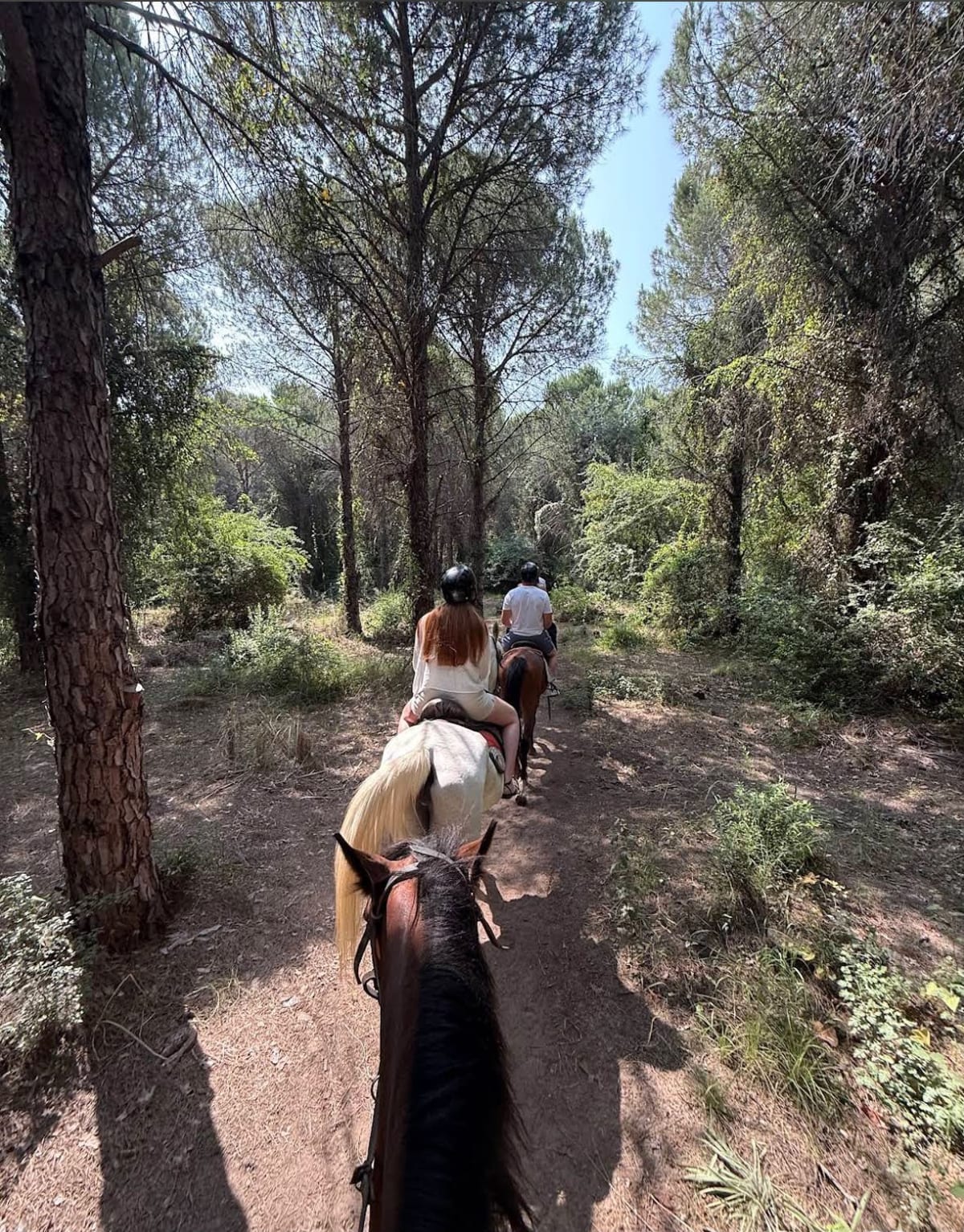 Lara'da At Safari: Deniz & Orman Rotası — Muratpaşa, Antalya