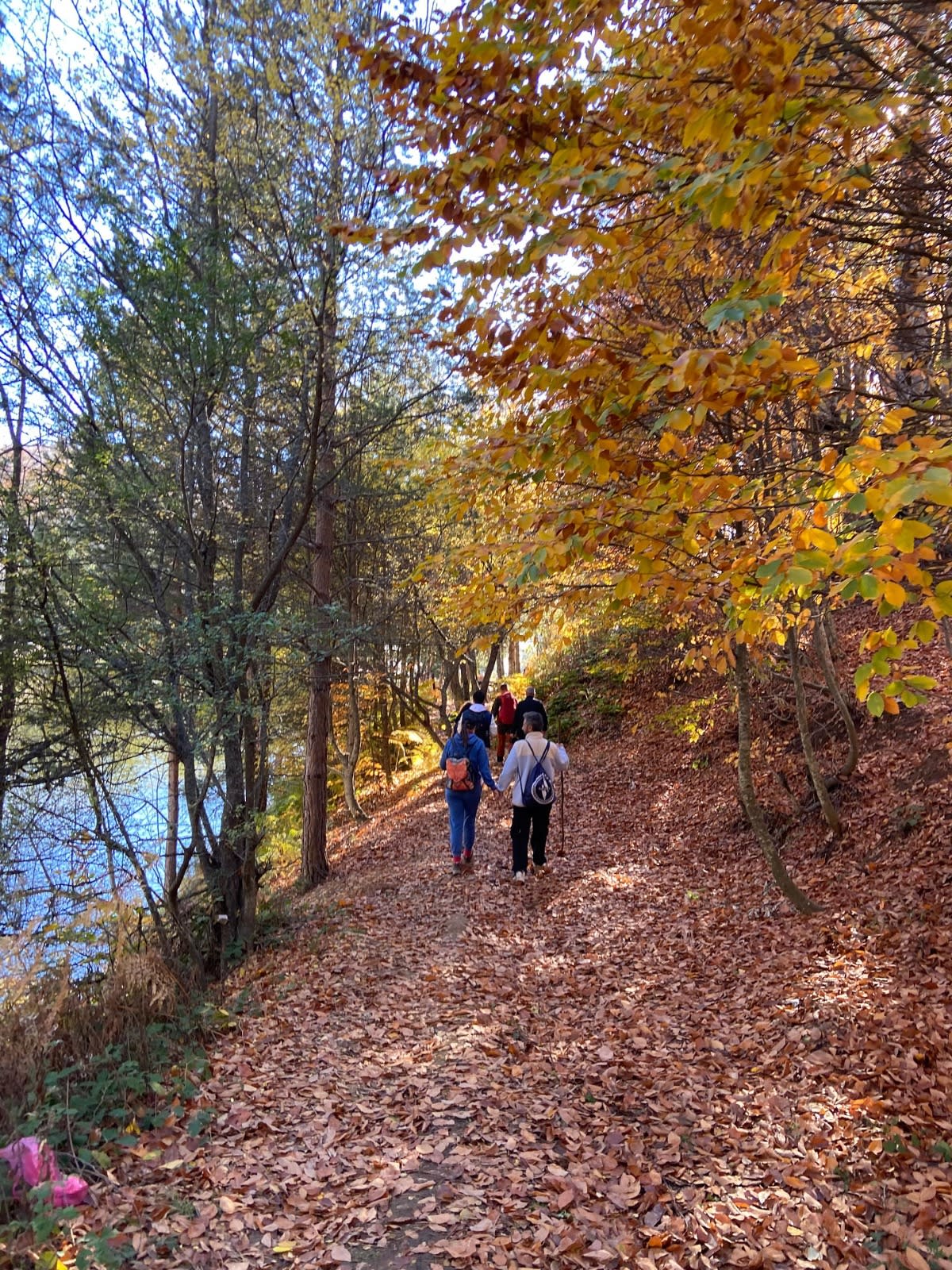Eskişehir Çıkışlı Göletler Arası Trekking — Odunpazarı, Eskişehir (görsel 2)