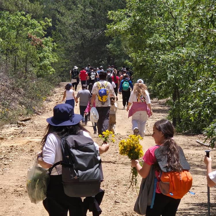 Eskişehir Çıkışlı Sonbahar Özel Domaniç Ormanları Trekking — Odunpazarı, Eskişehir