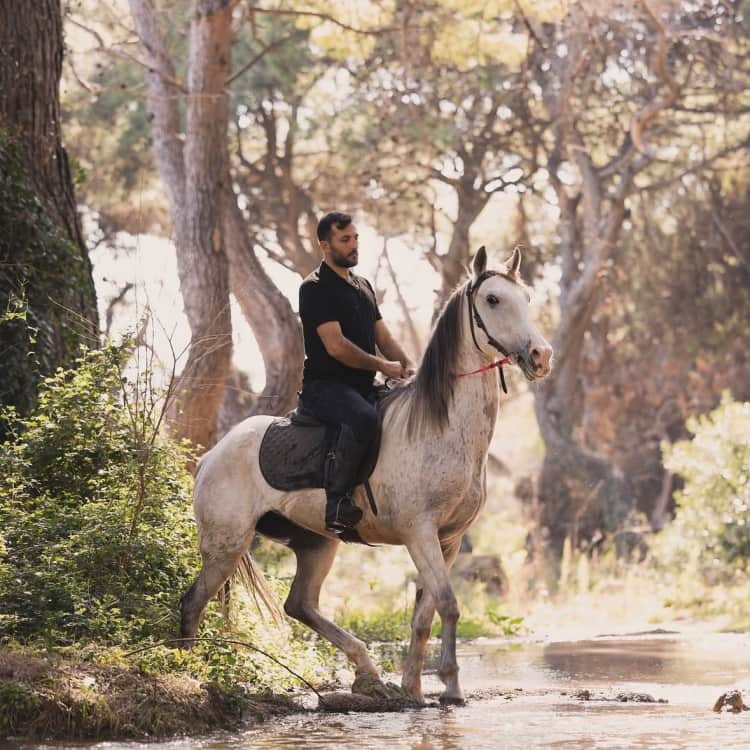 Muratpaşa Orman Parkuru At Safari — Muratpaşa, Antalya